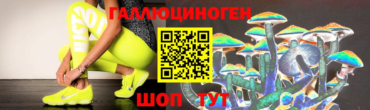 Псилоцибиновые грибы мицелий Нижний Новгород