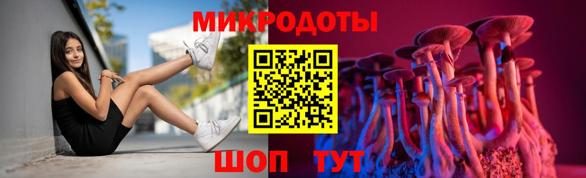 Галлюциногенные грибы прущие грибы  Вход с VPN  Нижний Новгород  купить наркоту  Галлюциногенные грибы Magic Shrooms 